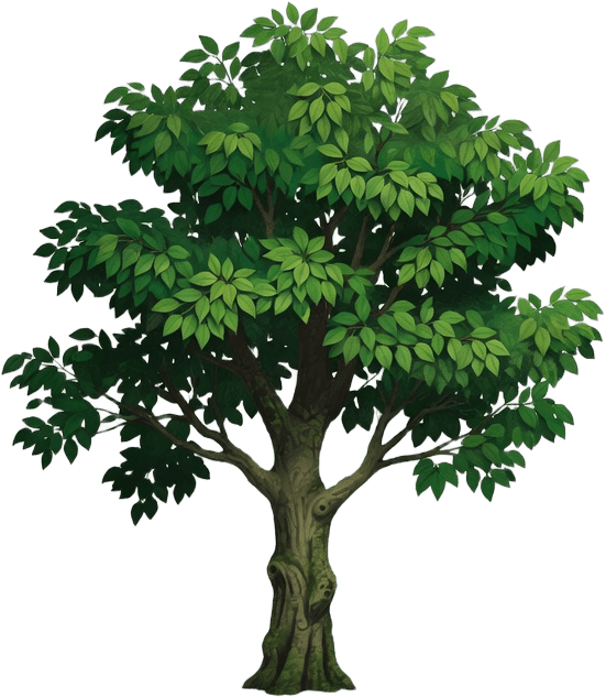 Tree Prop