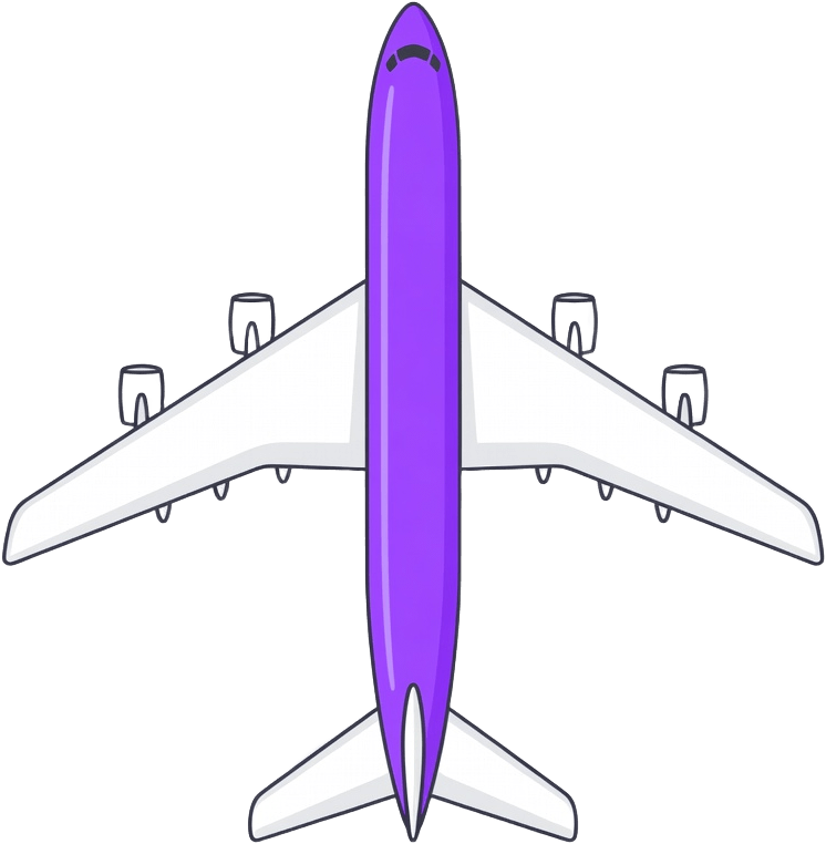 Airplane Large Purple