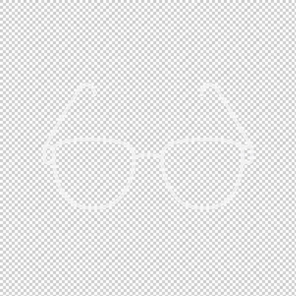 Inventar Icon Brille