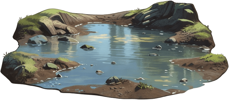 Forest Puddle Obstacle
