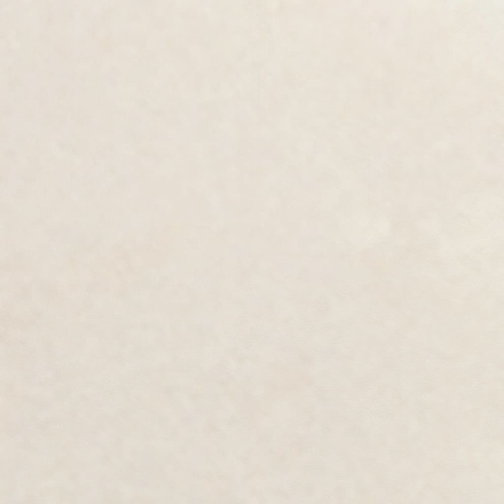 Wall Plaster Real Texture