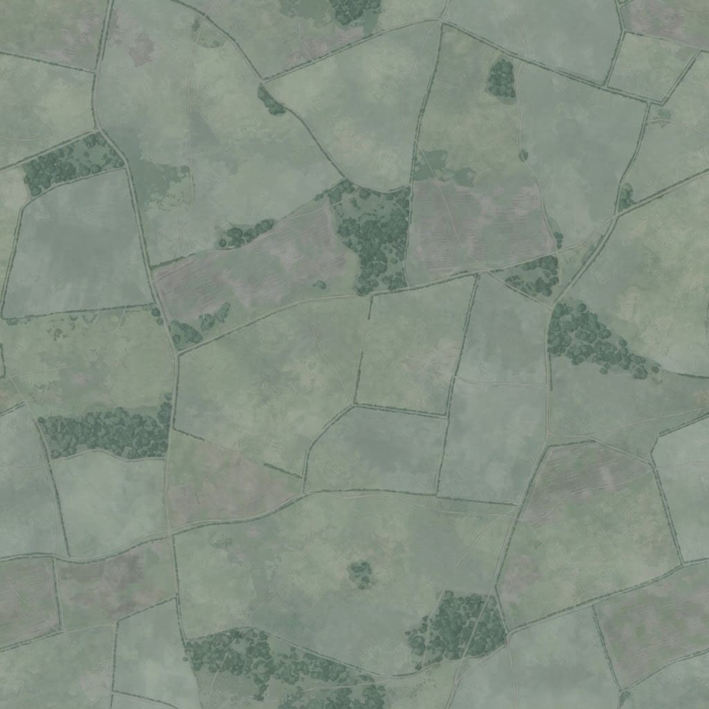 Image: Seamless tileable surface texture for temperate gr