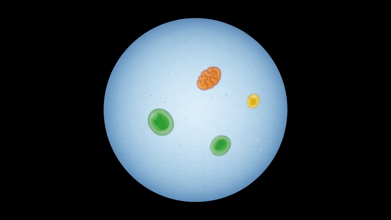 Lurcor Microscope Biome Backdrop