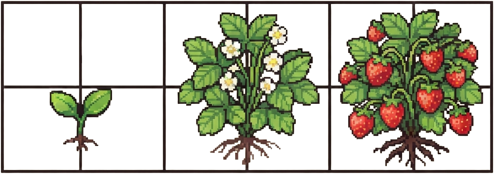Image: Three pixel-art growth stages of a strawberry plan