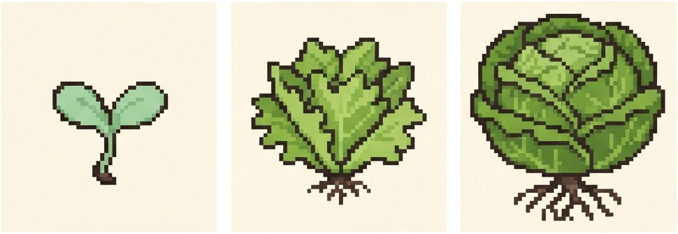 Image: Three pixel-art growth stages of a lettuce plant f