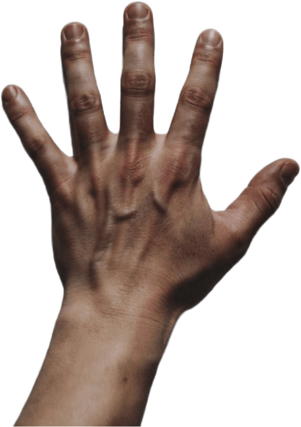 PS2 Fillet Hand Artwork