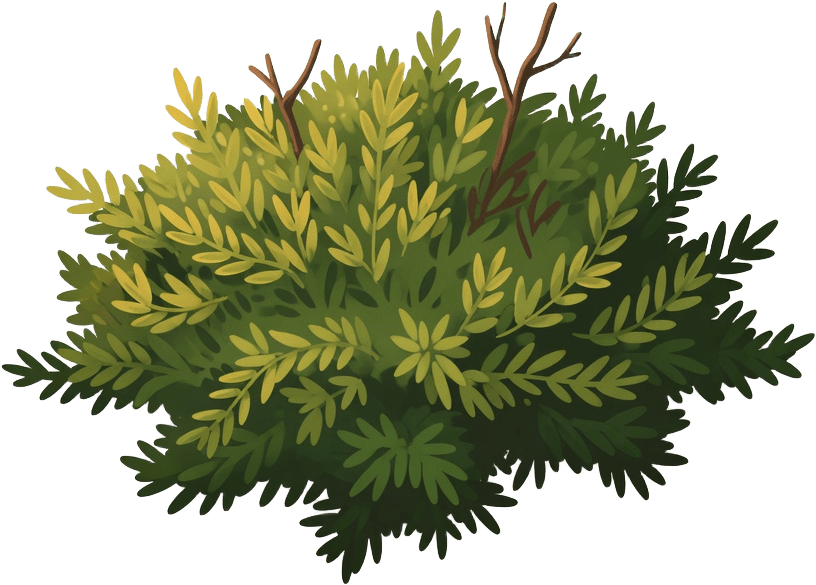 Plain Bush B - Flat Olive