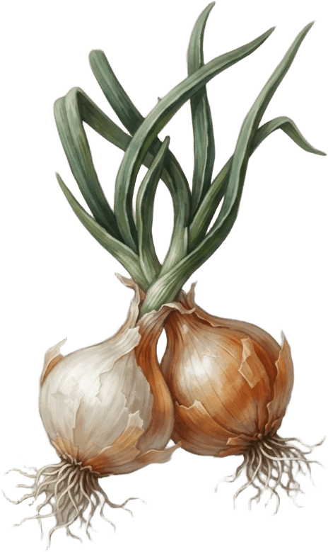 Image: Game inventory icon of two wild onions as one tigh