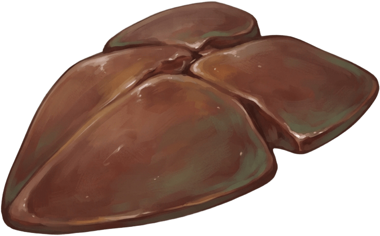 Image: Game inventory icon of a raw deer liver as a cut o