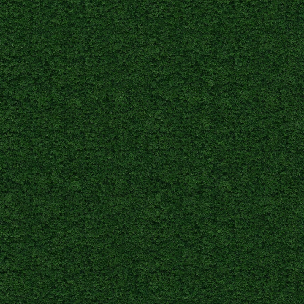 11 leaves