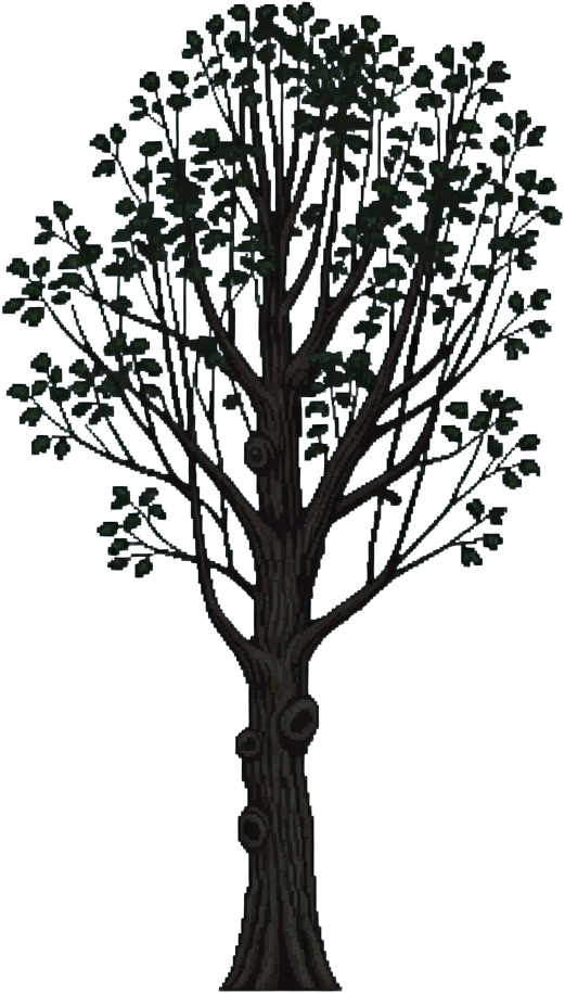 Park Tree Tall Mature Sparse Dark Canopy (Pixel Art)