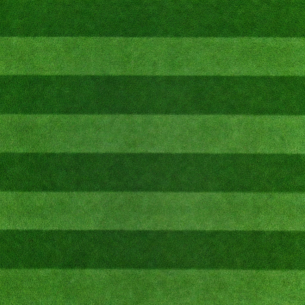 Stadium Grass Pitch Texture