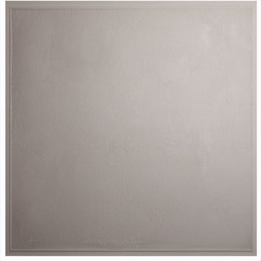Cool Grey Ceiling Plaster