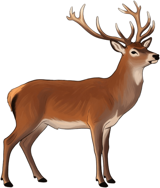 Deer Stag Alert