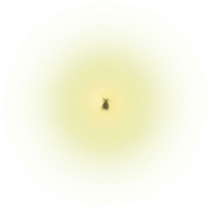 Firefly Glow