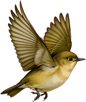 Airborne Songbird Flight
