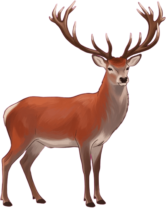 Deer Stag Idle 01