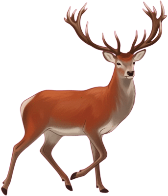 Walking Stag Pose
