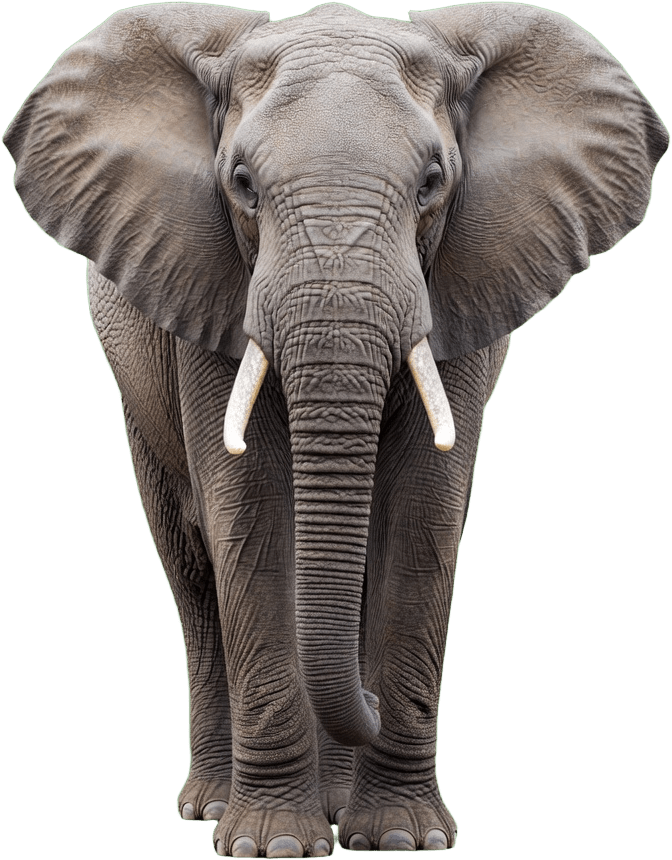 Elephant Safari Tile