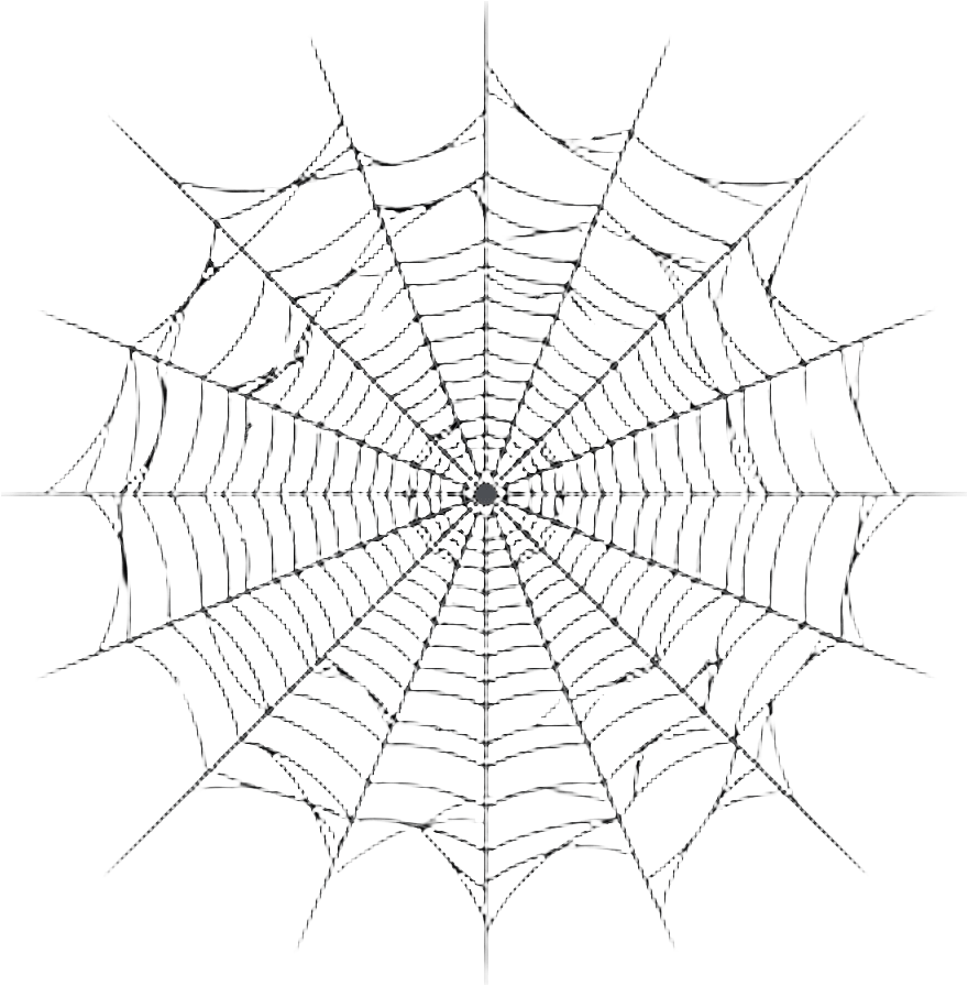 Ground Spider-Web Decal