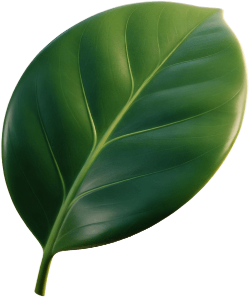 Single Leaf