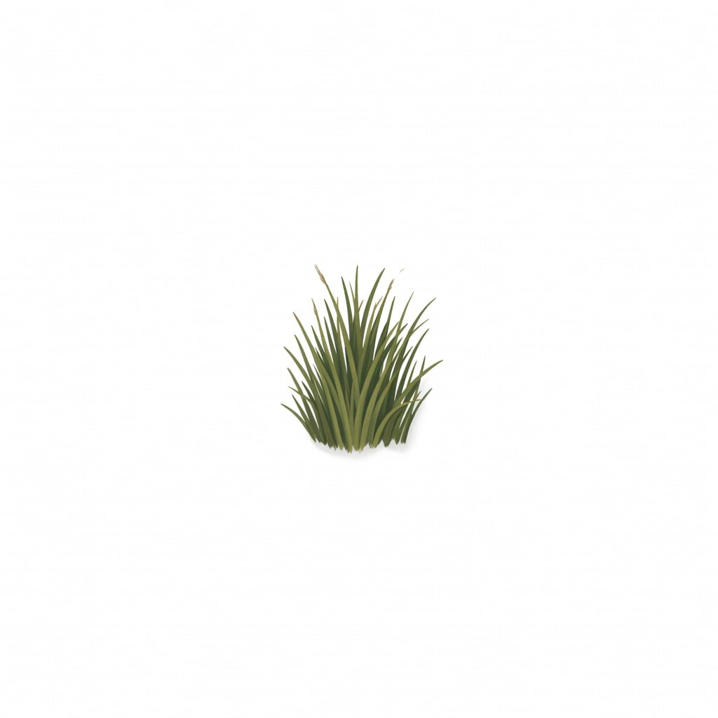 Forage Grass Tuft