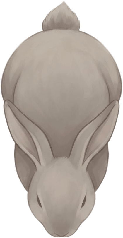 Top Down Woodland Rabbit v2