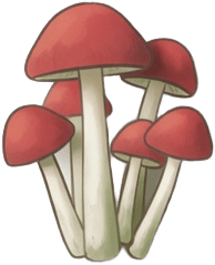 mushroom