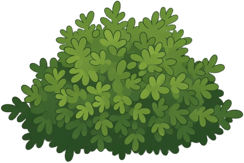 bush