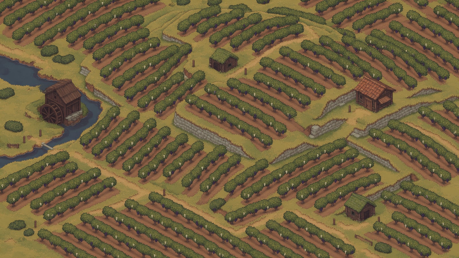 Hilly Vineyard Landscape