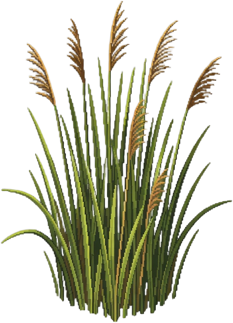 Decal - Reed Clump
