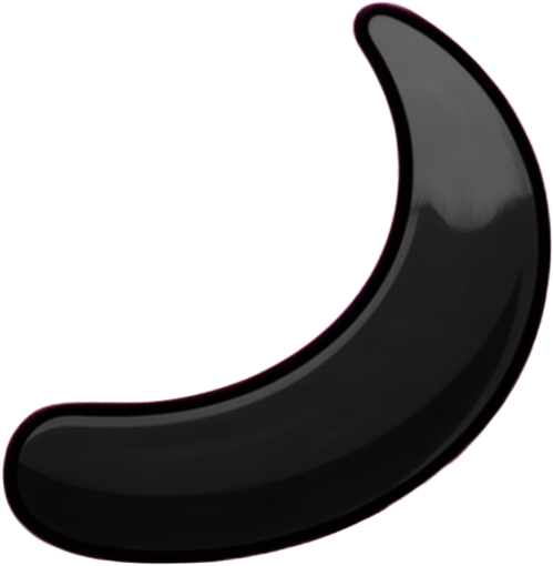 Black Labrador Tail