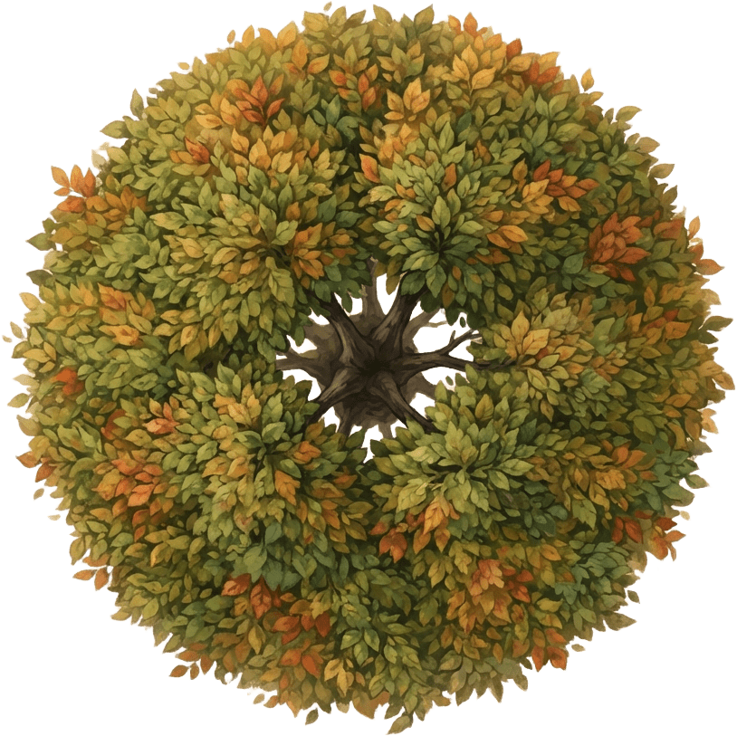 Image: Top-down overhead view of a single fantasy tree, s