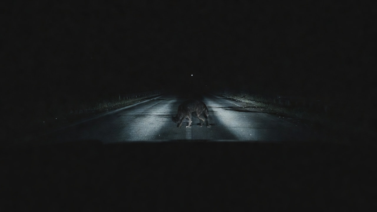Ch1 Road Silhouette Night Backdrop
