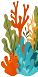 Orange Coral Seaweed Cluster