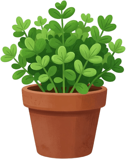 Apartment Kitchen Herb Pot