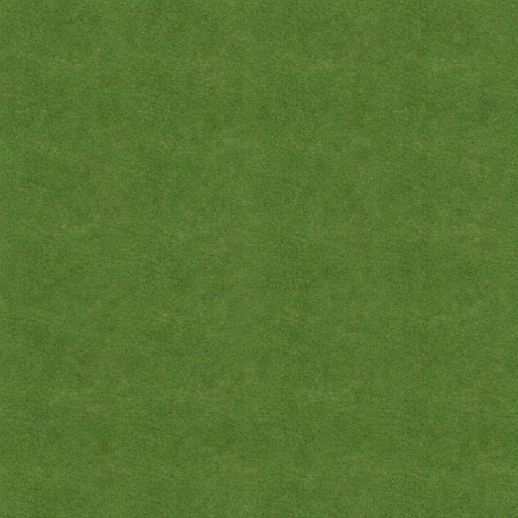 Natural Green Grass Texture