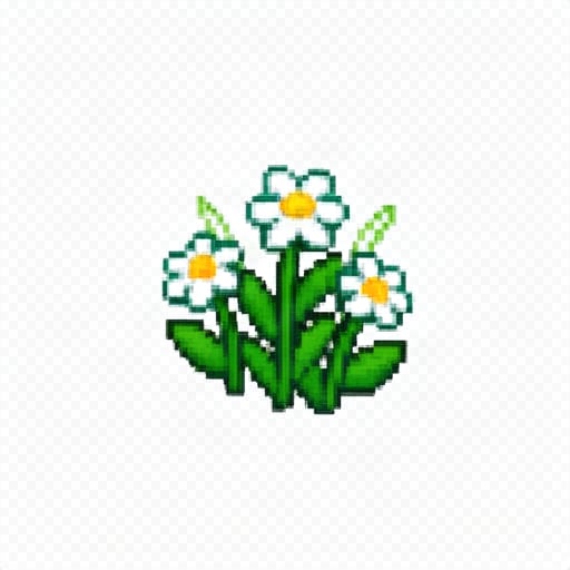 White Wildflower Clump