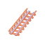 Coaster Wood Straight