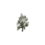 Tree Large