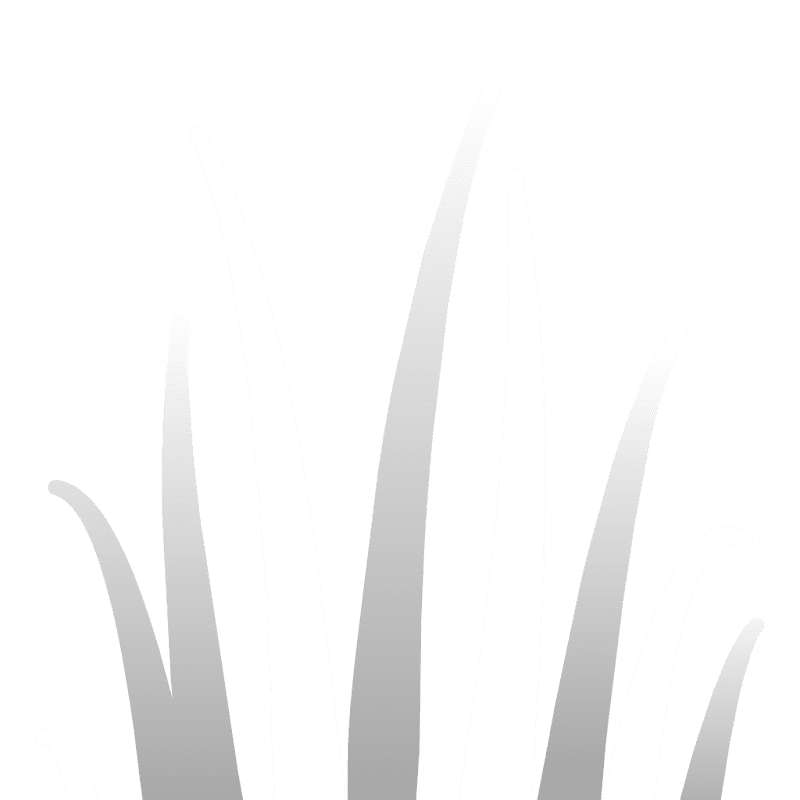 Sprite 0056