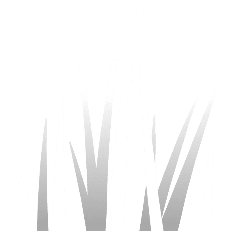 Sprite 0068