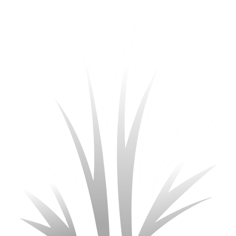 Sprite 0069