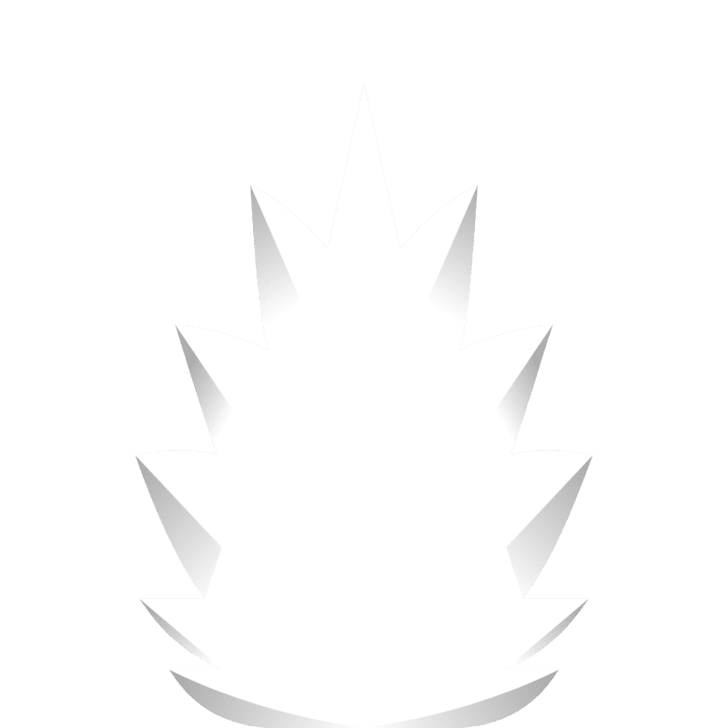 Sprite 0070