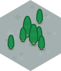 Stone 12