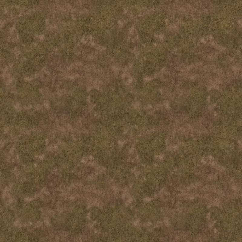 Medieval Dirt Grass Ground Texture