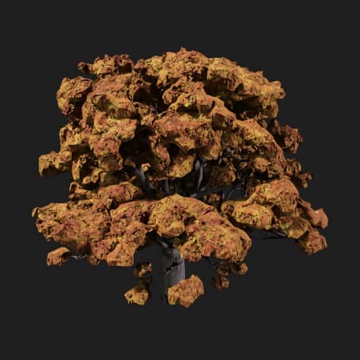 Oak Tree Deciduous