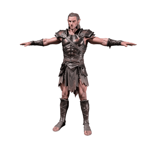 Half-Elf Gladiator