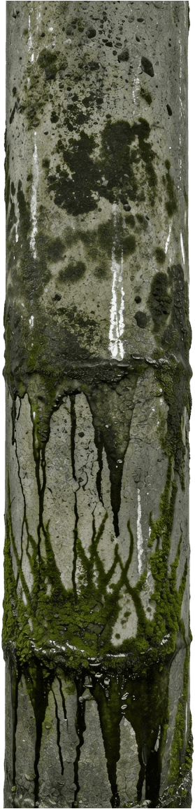 Sewer Pipe - Mold Moss Decay (2 / 4)