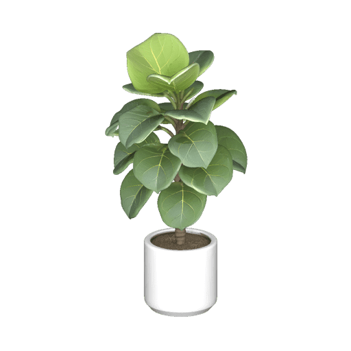 Modern Indoor Office Potted Model